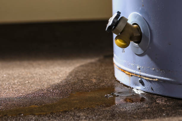 Best Flooded house restoration  in Burlington, KY