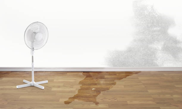 Best Flooded house restoration  in Burlington, KY