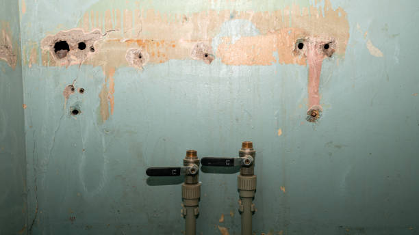 Best Residential water damage restoration  in Burlington, KY