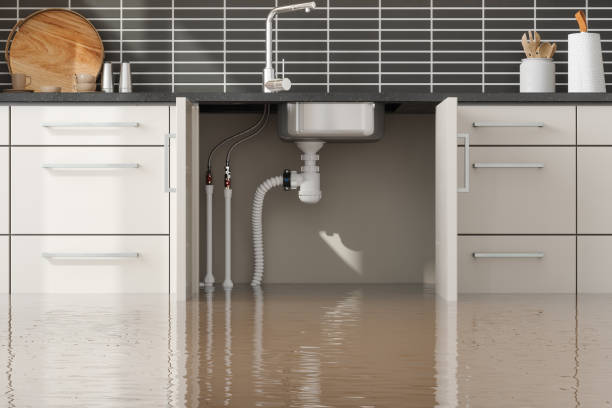 Best 24/7 water damage repair  in Burlington, KY