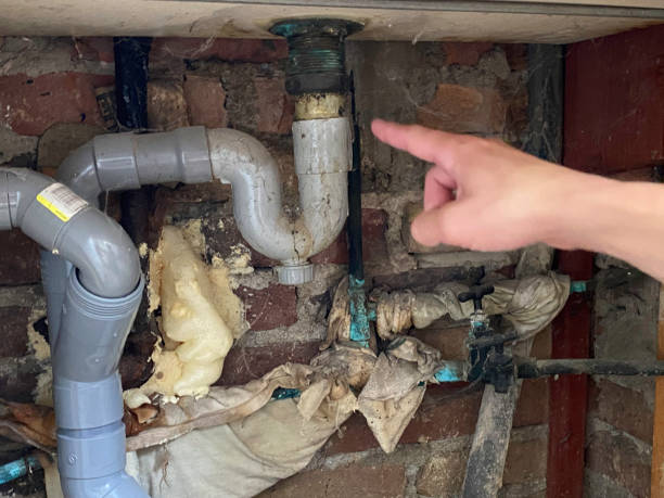 Best Water damage cleanup near me  in Burlington, KY