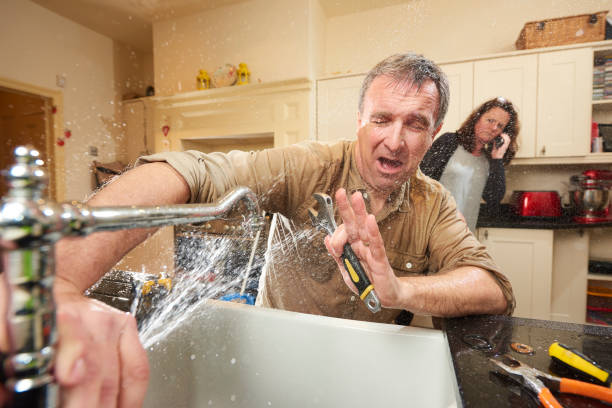 Best Professional water damage repair  in Burlington, KY